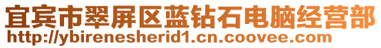 宜賓市翠屏區(qū)藍(lán)鉆石電腦經(jīng)營部