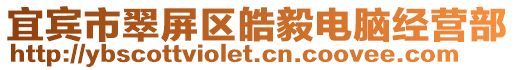 宜宾市翠屏区皓毅电脑经营部