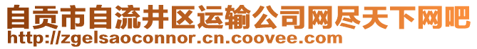 自貢市自流井區(qū)運(yùn)輸公司網(wǎng)盡天下網(wǎng)吧