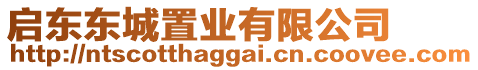 啟東東城置業(yè)有限公司