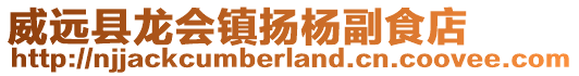 威遠(yuǎn)縣龍會(huì)鎮(zhèn)揚(yáng)楊副食店