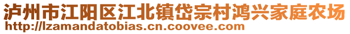 瀘州市江陽區(qū)江北鎮(zhèn)岱宗村鴻興家庭農(nóng)場