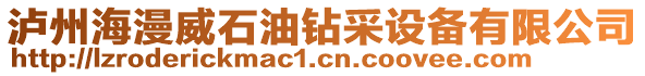 瀘州海漫威石油鉆采設(shè)備有限公司