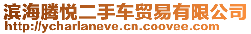 濱海騰悅二手車貿易有限公司