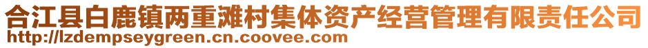 合江縣白鹿鎮(zhèn)兩重灘村集體資產(chǎn)經(jīng)營(yíng)管理有限責(zé)任公司