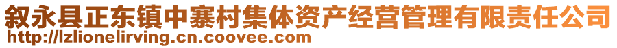 叙永县正东镇中寨村集体资产经营管理有限责任公司