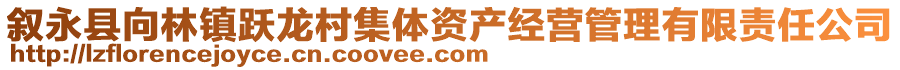 敘永縣向林鎮(zhèn)躍龍村集體資產(chǎn)經(jīng)營(yíng)管理有限責(zé)任公司