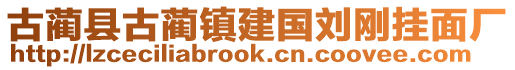 古藺縣古藺鎮(zhèn)建國(guó)劉剛掛面廠