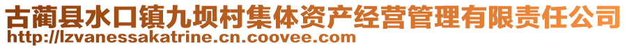 古藺縣水口鎮(zhèn)九壩村集體資產(chǎn)經(jīng)營管理有限責(zé)任公司