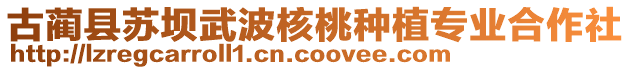 古藺縣蘇壩武波核桃種植專業(yè)合作社