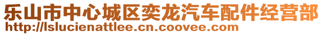 樂山市中心城區(qū)奕龍汽車配件經(jīng)營部