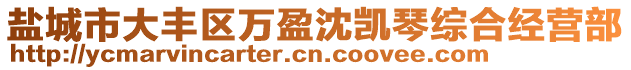 鹽城市大豐區(qū)萬盈沈凱琴綜合經(jīng)營部