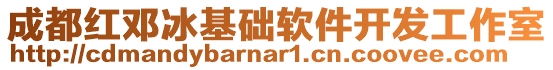 成都紅鄧冰基礎軟件開發(fā)工作室