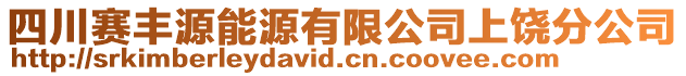 四川赛丰源能源有限公司上饶分公司