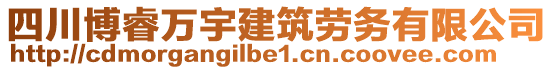 四川博睿萬(wàn)宇建筑勞務(wù)有限公司