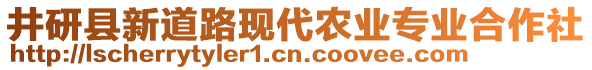 井研县新道路现代农业专业合作社