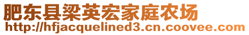 肥东县梁英宏家庭农场