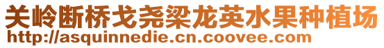 關(guān)嶺斷橋戈堯梁龍英水果種植場(chǎng)