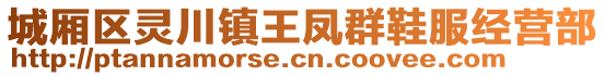 城廂區(qū)靈川鎮(zhèn)王鳳群鞋服經(jīng)營(yíng)部