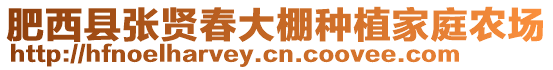 肥西縣張賢春大棚種植家庭農(nóng)場(chǎng)