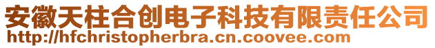 安徽天柱合創(chuàng)電子科技有限責(zé)任公司