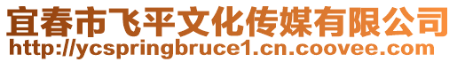 宜春市飛平文化傳媒有限公司