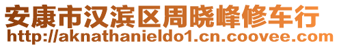 安康市汉滨区周晓峰修车行