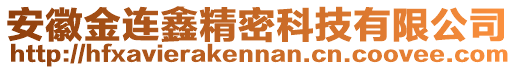 安徽金連鑫精密科技有限公司