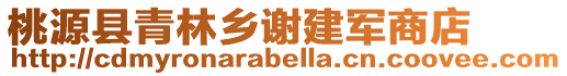 桃源縣青林鄉(xiāng)謝建軍商店