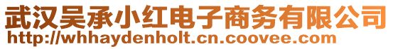 武汉吴承小红电子商务有限公司