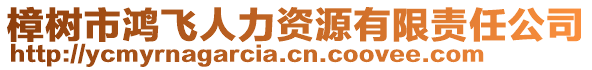 樟树市鸿飞人力资源有限责任公司