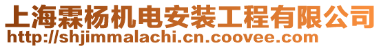 上海霖楊機(jī)電安裝工程有限公司