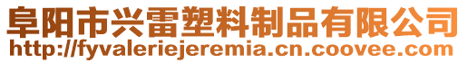 阜陽市興雷塑料制品有限公司