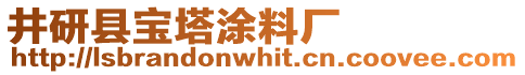 井研县宝塔涂料厂