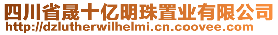 四川省晟十亿明珠置业有限公司