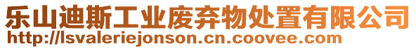 樂山迪斯工業(yè)廢棄物處置有限公司