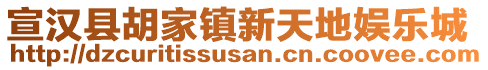 宣漢縣胡家鎮(zhèn)新天地娛樂城