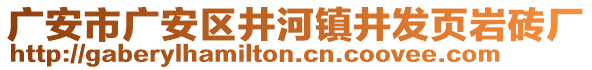 廣安市廣安區(qū)井河鎮(zhèn)井發(fā)頁(yè)巖磚廠