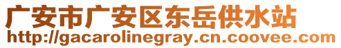 廣安市廣安區(qū)東岳供水站