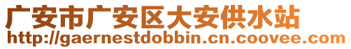 廣安市廣安區(qū)大安供水站