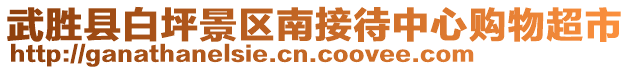 武勝縣白坪景區(qū)南接待中心購物超市