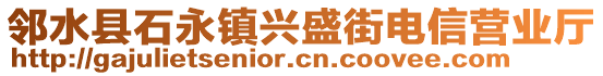 鄰水縣石永鎮(zhèn)興盛街電信營業(yè)廳