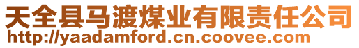 天全縣馬渡煤業(yè)有限責(zé)任公司