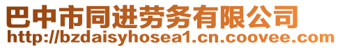 巴中市同進(jìn)勞務(wù)有限公司