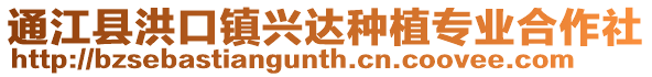 通江县洪口镇兴达种植专业合作社