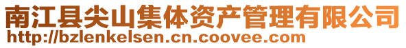 南江县尖山集体资产管理有限公司