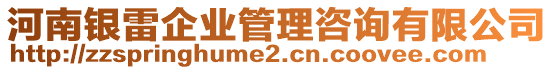 河南銀雷企業(yè)管理咨詢有限公司