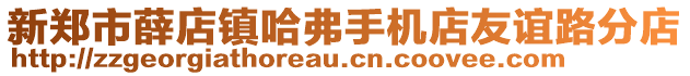 新郑市薛店镇哈弗手机店友谊路分店