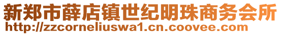 新鄭市薛店鎮(zhèn)世紀明珠商務會所