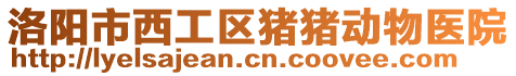 洛陽市西工區(qū)豬豬動(dòng)物醫(yī)院